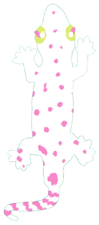 白とピンクのヤモリのイラスト
